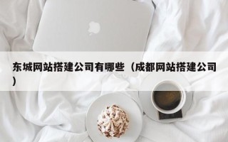 菏泽东城网站搭建公司有哪些（成都网站搭建公司）
