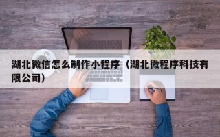 菏泽湖北微信怎么制作小程序（湖北微程序科技有限公司）
